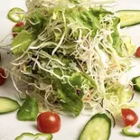 グリーンサラダ Green Salad(インドネパール料理 QUALITY)