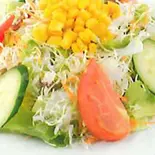 グリーンサラダ/GREEN SALAD（ザ ナン マスター）