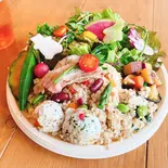 くまプレート・次男（cafe＆market くまと文鳥）