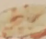 プレーンナン（Taste Nepal）