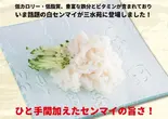 白センマイ刺し（焼肉 三水苑 広瀬通り店）