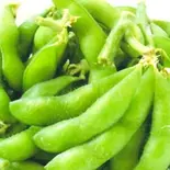 枝豆/Edamame(中華料理 龍門)