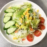 【1】グリーンサラダ/GREEN SALAD（インドネパールカレーエベレスト）