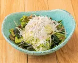 三浦野菜と湘南釜揚げしらすのサラダ（三浦鮮魚卸売会社直営 いまがわ食堂 町田店）