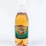 ginger ale 500ML（とりあえず ーJuicy Chicken Bowlー メガ焼鳥丼 川崎店）