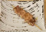 せせり たれ(炭火焼鳥 一燃)