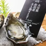 全国牡蠣ー1グランプリ2025 銀賞受賞‼生牡蠣1個⭐︎産地直送!大分県大入島オイスター【都内のオイスターバーで大人気】S50グラムサイズ一個(牡蠣酒場すずきんち)