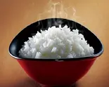 米饭  ライス（湘味食府）