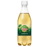 ジンジャーエール Ginger Ale 500ml（SATYA）