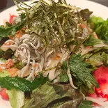 シャキシャキ大根と直送釜揚げシラスサラダ（東京夜市）
