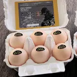 【贅沢卵かけごはんに！】"純種" 黒烏骨鶏の生卵(1個) Raw Silkie Egg（とり鉄 広島本通店）