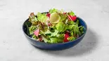 ガッツリ生野菜サラダ（【オムライススタジアム優勝実績！！】オムライス専門店Park）
