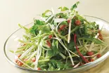 老虎菜/東北風和えサラダ（庄稼院）