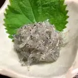 【希少】生しらす（あさ家）