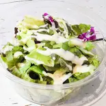 グリーンサラダミニ(Tanaka'sRoti)