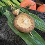 椎茸(博多とりかわ鬼皮 六本松店)