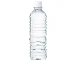 水 500ml Water（タコスミートのチキンオーバーライス KING CHICKEN(キンチキ)ドン・キホーテ北池袋店）