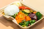 漬けサーモンのサラダプレート（12種野菜とお魚サラダ VEGE FISH TOKYO ベジフィッシュ トーキョー）