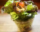 ミニサラダ Mini Salad（大阪ステーキかうぼーい）