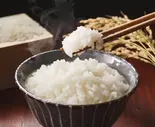 ごはん（創作唐揚げ GACHIKARA 門真店）