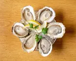 【生産者直送！】本日の殻付き半ダース6個（和風サラダ WASARA）