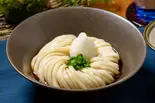 おろしぶっかけうどん Cold udon with grated daikon（山下本気うどん 大宮東口）