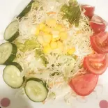 グリーンサラダ Green salad（ゴクルインドレストラン福大前Gokul Indianrestaurant）