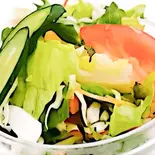 グリーンサラダ Green salad（タンドリー＆ケバブレストラン ロータス）