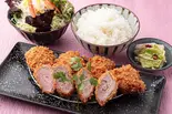 ヒレカツ弁当 90g (鹿児島産)（とんかつ わた屋）