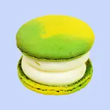 瀬戸内レモン＆チーズマカロンSetouchi Lemon ＆ Cheese Macaron（韓国風カフェ ジャイアントコーヒー Korean style café GAIANT COFFEE[자이언트 커피]）