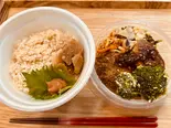 野菜たっぷりハンバーグ弁当（おひると、おやつ）