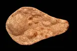 ゴマナン Goma Naan（金継ぎアジアンダイニング＆バー）