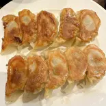 焼き餃子10個(田無餃子)