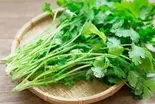 パクチー Coriander（【本場沖縄のタコライス】THE TACORICE HOUSE 大山店）
