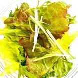 プレーンサラダ(低温調理のステーキ丼屋)