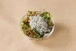 しらすのサラダ Whitebait Salad（洋麺屋 祇園パスタ 亀有店）