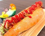 自家製サルシッチャのホットドッグ（cafe Roost）