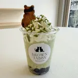 抹茶あずき(BROWN TABBY両国)