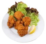 フライチキン Fry Chicken 5P（インドネパール料理アロマ）
