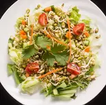 スプラウテッドビーンズサラダ // Sprouted Beans Salad [vegan]（バンゲラズキッチン 銀座店）