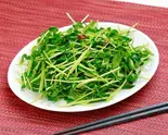 豆苗炒め Stir-Fried Bean Sprouts(中華食堂一番館 阿佐ヶ谷パール通り店)