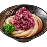 柴漬鬼おろしぶっかけうどん(はなまるうどん 蒲田アロマスクエア店)
