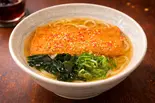 #きうねうどん（出汁うどん彩 IRODORI）