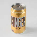 (単品)ジンジャーエール/Ginger Ale（タンドリーレストラン＆ケバブ 西武柳沢駅前店）