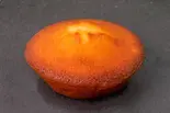 もちもちフィナンシェ(プレーン)（BOMBOMY）