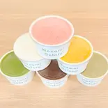 定番6種セット(のぞみジェラート)