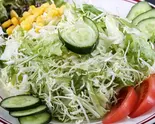 グリーンサラダ/GREEN SALAD（スパイスの森）