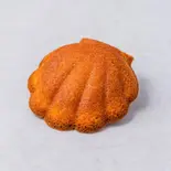 マドレーヌ（タトル 明大前洋菓子店）