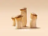 エリンギ(40g) / 杏鲍菇（小谷姐姐 マーラータン(森ノ宮店)）