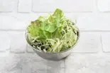 ミニ サラダ Mini Salad（ララ スパイス＆ハーブ Rara Spice ＆ Herbs）